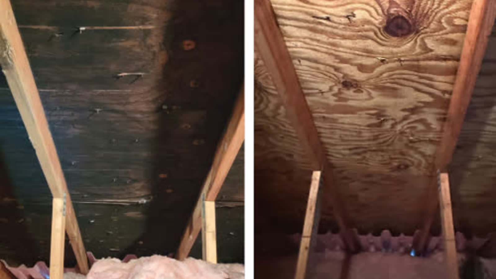 Mold remediation team working inside a contained room with air-control equipment