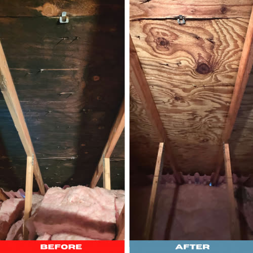 Thermal moisture scan inside a residential room